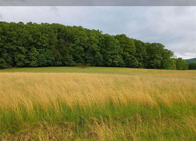 Property at Lot 55 Cahill Ln, New Castle, VA 24127