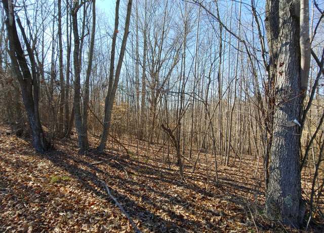 Property at LOT 10 Horseshoe Bend Rd, Goodview, VA 24095