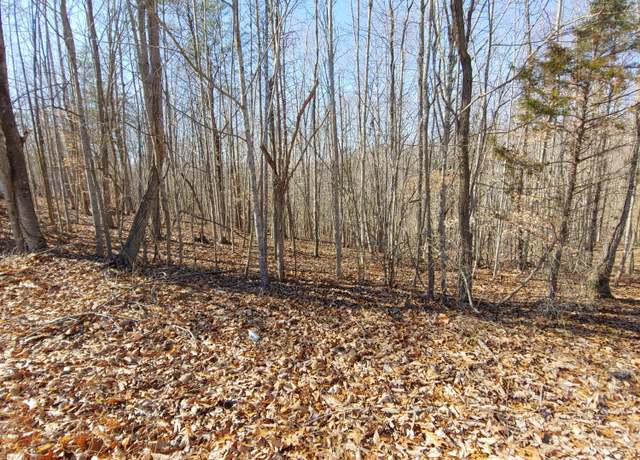 Property at LOT 9 Horseshoe Bend Rd, Goodview, VA 24095