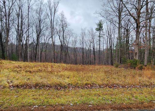 Property at LOT 11 Woods Edge Dr, Rocky Mount, VA 24151