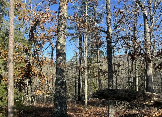 Property at Lot 45 Black Diamond Dr, New Castle, VA 24127