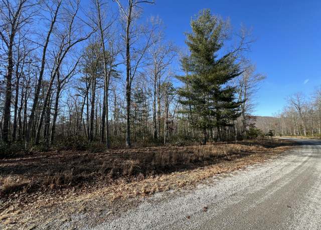 Property at Lot 52 Black Diamond Dr, New Castle, VA 24127