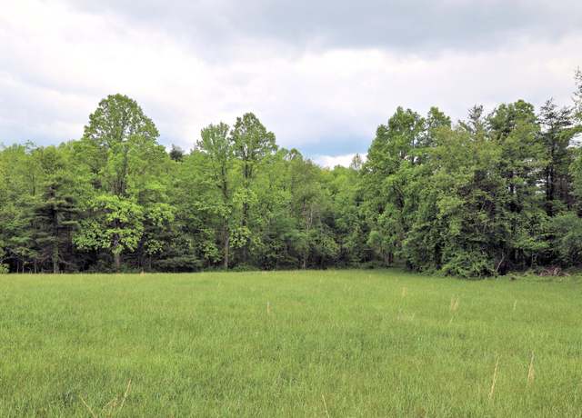 Property at Lot 4 Franklin Pike SE, Floyd, VA 24091
