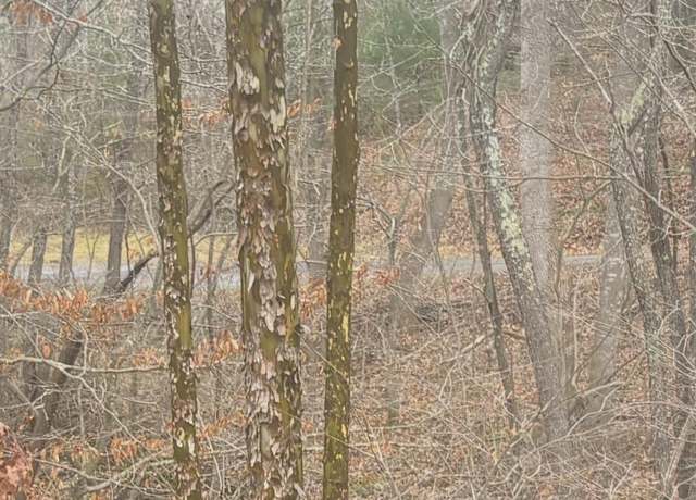Property at 0 Turners Creek Rd, Ferrum, VA 24088