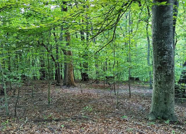 Property at Lot 41 Old Barn Rd, Moneta, VA 24121