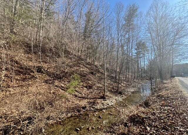 Property at 0 Ogle Creek Rd, Covington, VA 24426