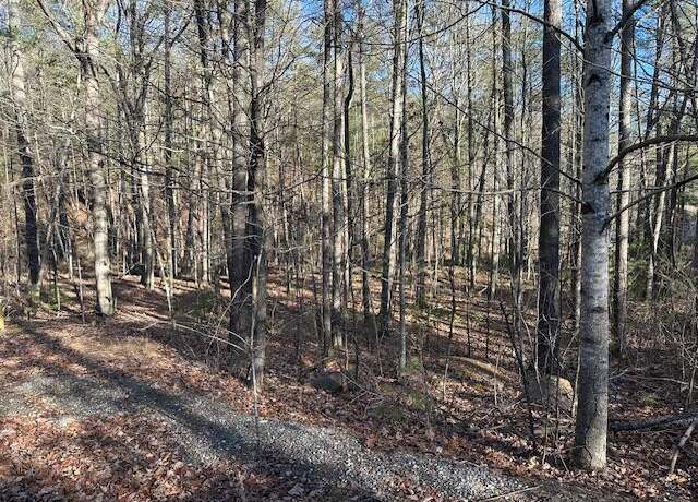 Property at 00 Hoot Owl Rd, New Castle, VA 24127