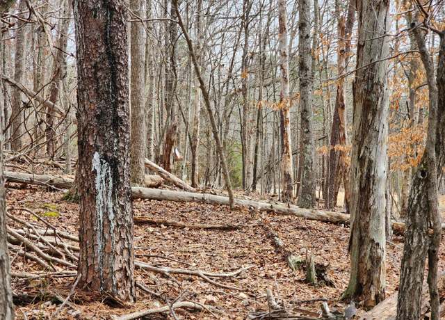 Property at Lot 45 Chestnut Dr, Hardy, VA 24101