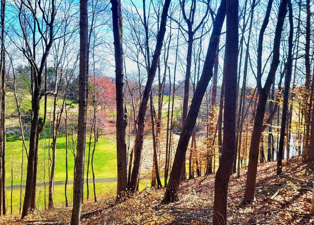 Property at 67 Peaks View Dr, Moneta, VA 24121