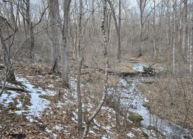 Property at 0 Irving Rd, Thaxton, VA 24174