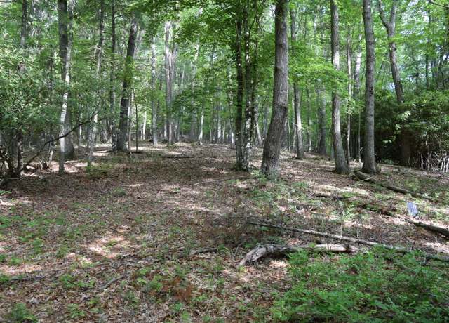 Property at 1866 Firehouse Rd NW, Willis, VA 24380