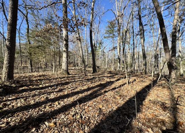 Property at 0 Timber Rdg, Buchanan, VA 24066