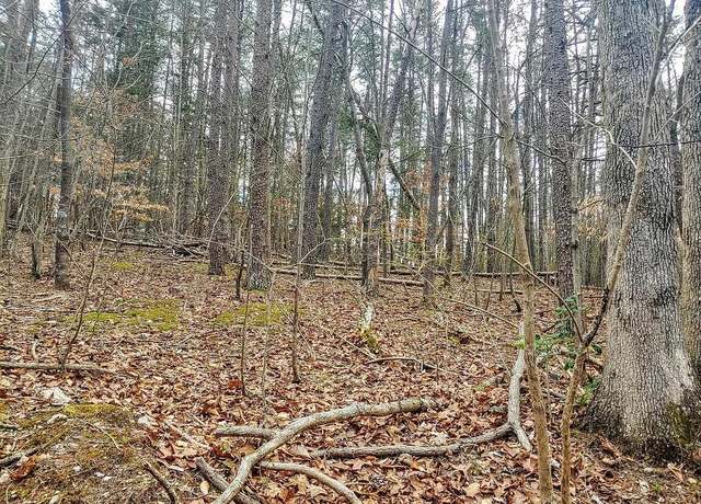 Property at Lot 116 Niver Dr, Union Hall, VA 24176