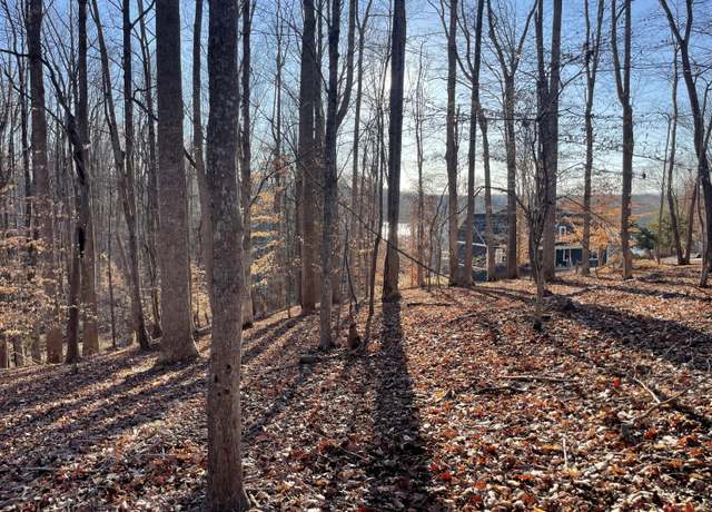 Property at Lot 118 Brentwood Ln, Moneta, VA 24121