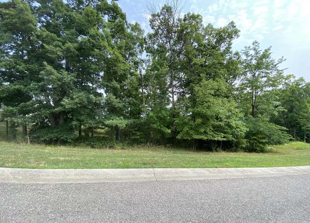 Property at LOT 59 Summit Dr, Rocky Mount, VA 24151