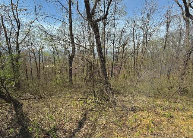 Property at Lot 2 Murray Hollow Rd, Thaxton, VA 24174