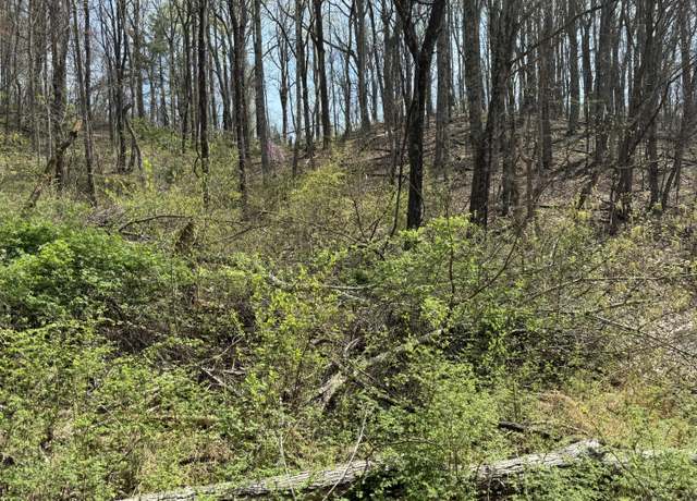 Property at Lot 3 Murray Hollow Rd, Thaxton, VA 24174
