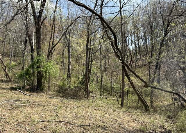 Property at Lot 4 Murray Hollow Rd, Thaxton, VA 24174