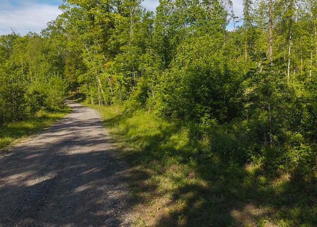 Property at Lot 1 Shortcut Dr, Woolwine, VA 24185