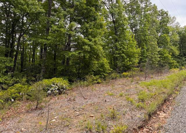 Property at Lot 5 Shortcut Dr, Woolwine, VA 24185