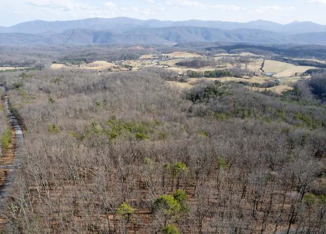 Property at 00 Short Hill Dr, Buchanan, VA 24066