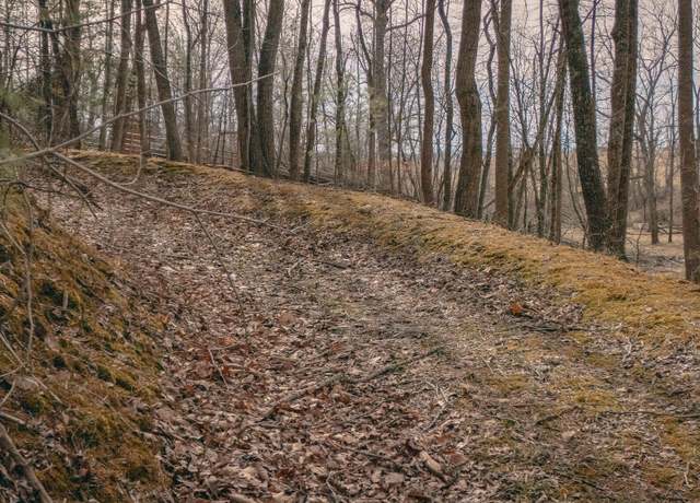 Property at 0 Alum Spring Rd, Dublin, VA 24084