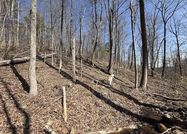 Property at TBD Woodvale Rd SE, Copper Hill, VA 24079