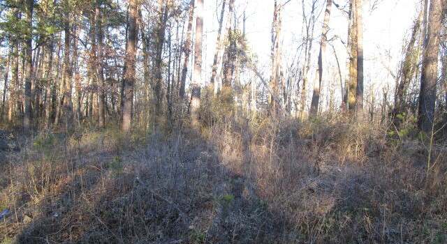 Photo of 0 Carver Rd, Martinsville, VA 24112