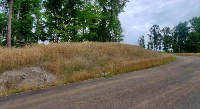 Photo of Lot 41 Pearl Dr, Hardy, VA 24101