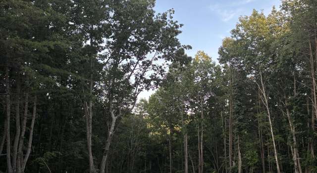 Photo of 0 Lookout Mountain Rd, Martinsville, VA 24112