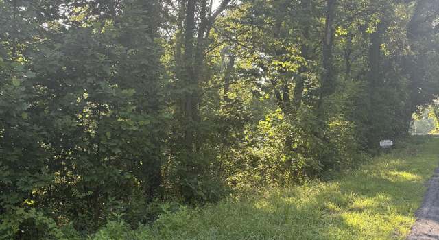 Photo of 0 Oak Ridge Rd, Buchanan, VA 24066