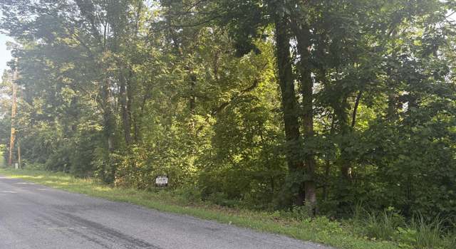 Photo of 0 Oak Ridge Rd, Buchanan, VA 24066