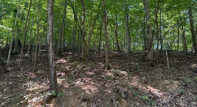 Photo of 0 Zana Rd, Salem, VA 24153