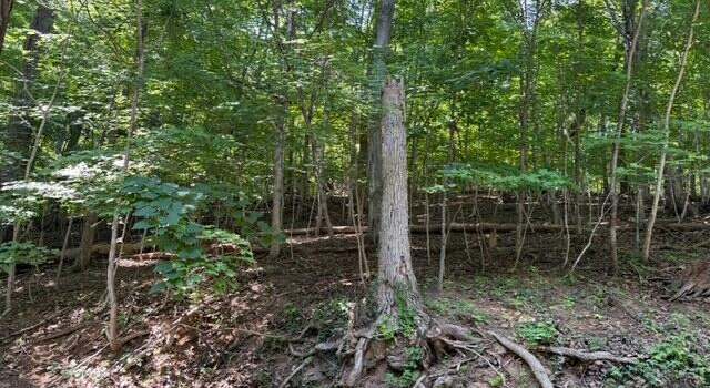 Photo of 0 Zana Rd, Salem, VA 24153