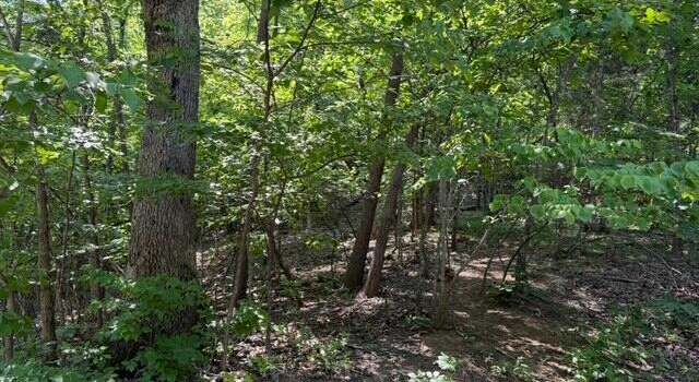 Photo of 00 Zana Rd, Salem, VA 24153