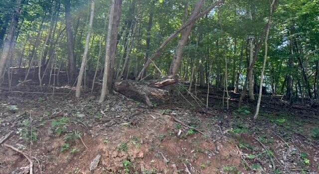 Photo of 00 Zana Rd, Salem, VA 24153