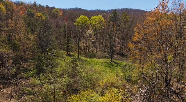 Photo of TBD Byrnes Chapel Rd, Bland, VA 24315