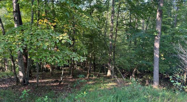Photo of Lot 2 Cedar Bluff Ln, Hardy, VA 24101