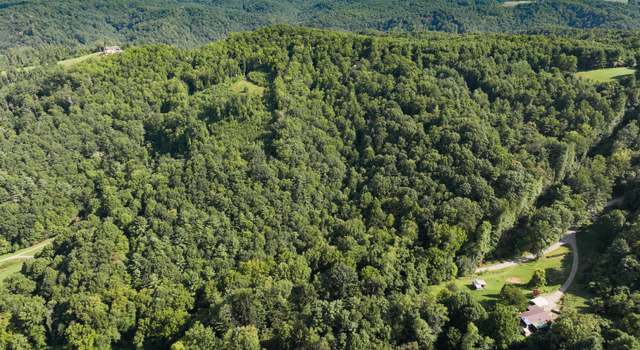 Photo of 0 Griffith Creek Rd, Check, VA 24072