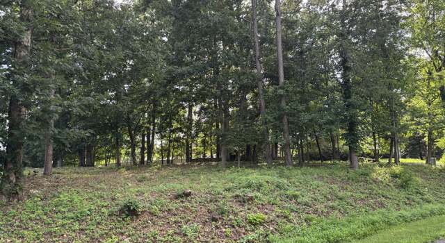 Photo of Lot 59 Macgregor Dr, Blue Ridge, VA 24064