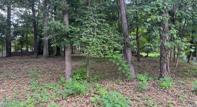 Photo of Lot 59 Macgregor Dr, Blue Ridge, VA 24064