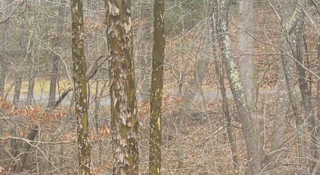 Photo of 0 Turners Creek Rd, Ferrum, VA 24088