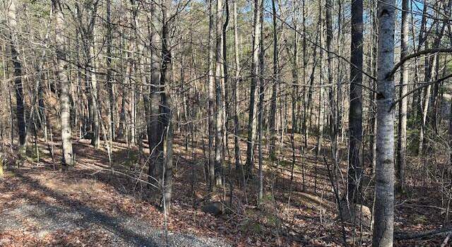 Photo of 00 Hoot Owl Rd, New Castle, VA 24127