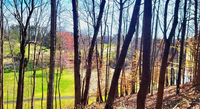Photo of 67 Peaks View Dr, Moneta, VA 24121