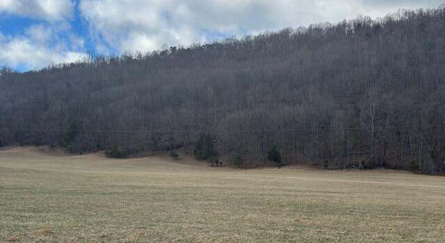 Photo of Lot 37 Johns Creek Rd, New Castle, VA 24127