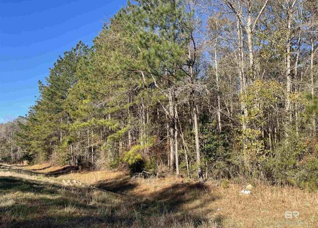 Property at 5525 Highway 29, Brewton, AL 36426