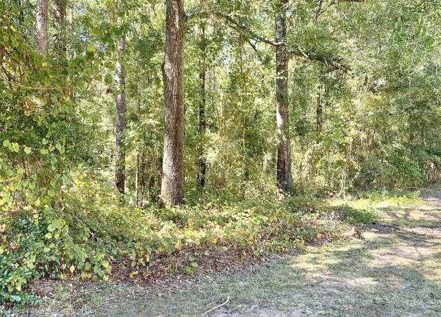 Property at 51 Steelwood Ridge Rd, Loxley, AL 36551