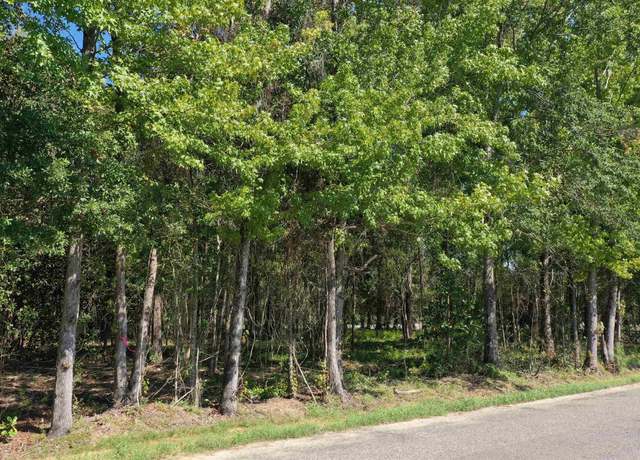 Property at Lot 1 Harris St, Atmore, AL 36502