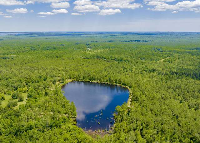 Property at 0 Bermuda Ln, Seminole, AL 36574