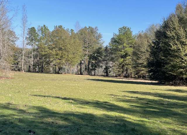 Property at 529 Sand Bottom Rd, Peterman, AL 36471